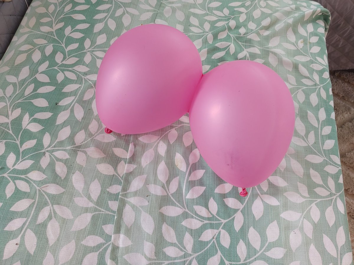 ScaredFly's tweet photo. Baloobies!11!!!¡¡11¡1!! https://t.co/UiLWCdK3gu