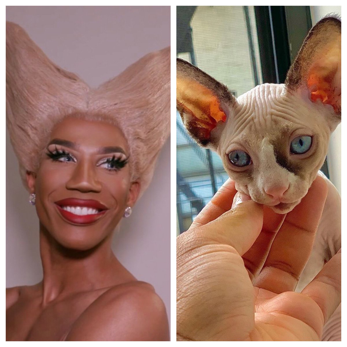 JackJackScott's tweet photo. #spotthedifference good luck, this one is hard! @naomismallsduh @monetxchange #DragRace https://t.co/L5X5PAhGbk