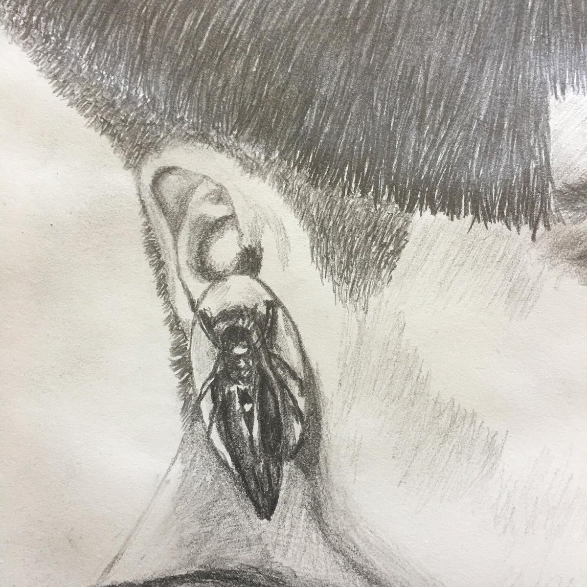 GrimGT2's tweet photo. finally finished this drawing...time to hibernate ✌🏾#artshare https://t.co/15isJtiy4E
