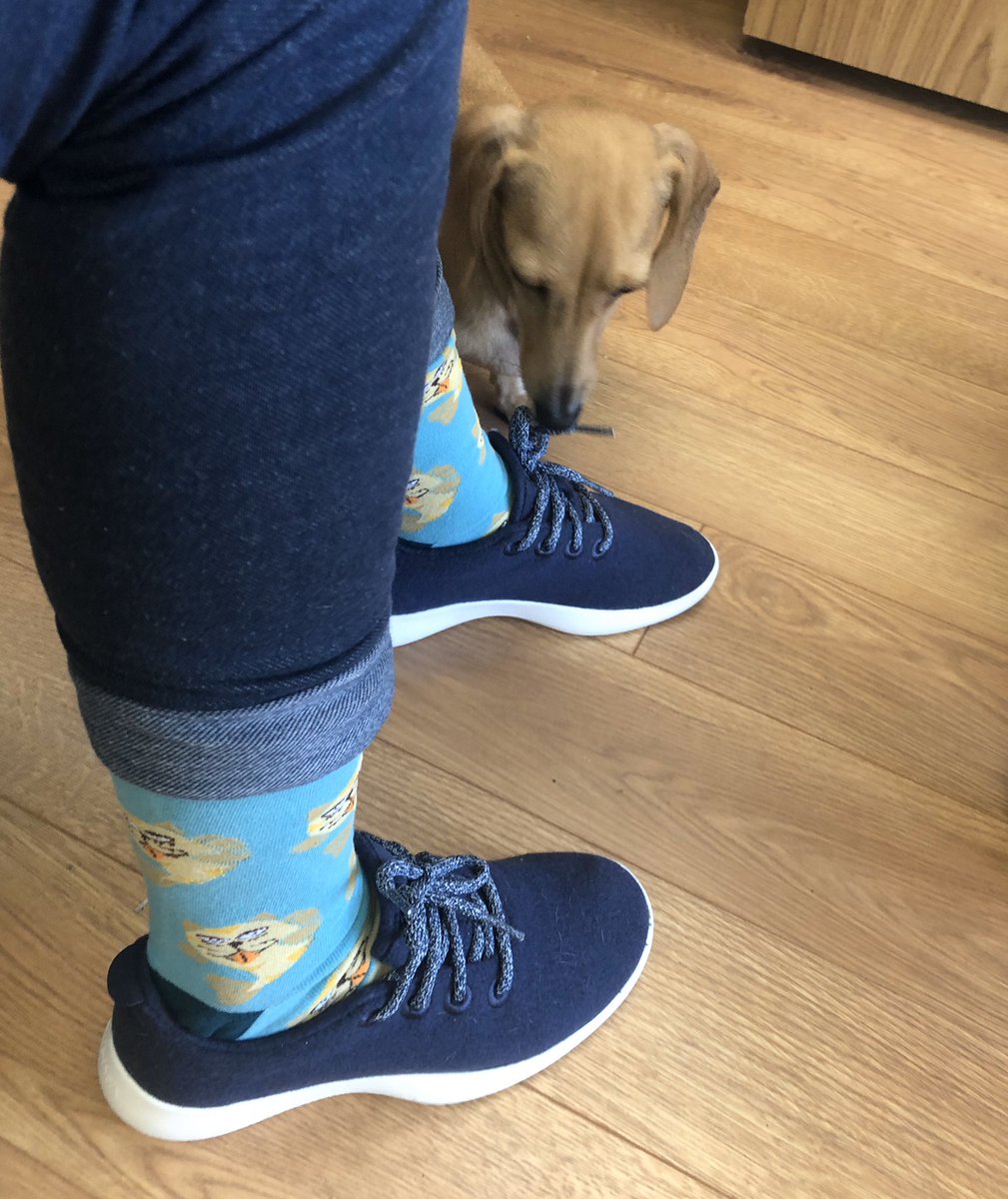 PimMonsters's tweet photo. The Catfish socks! 
Get yours 🛒https://t.co/IzlAW2Njii

#catfish #Pimmonster #coolsocks #patternsocks #bamboocotton #dresssocks #style #cat #fish https://t.co/O0uz6IoGzR