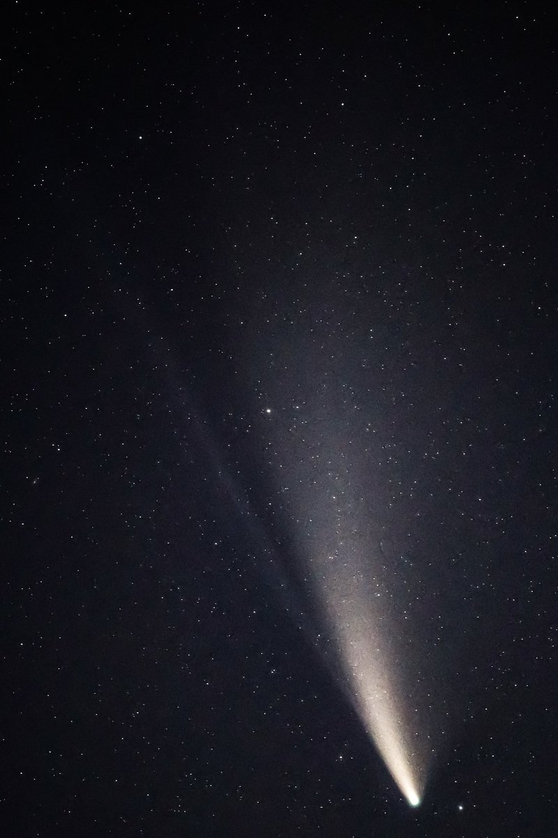 Comet Neowise is still dominating the northern sky.... got this one last night