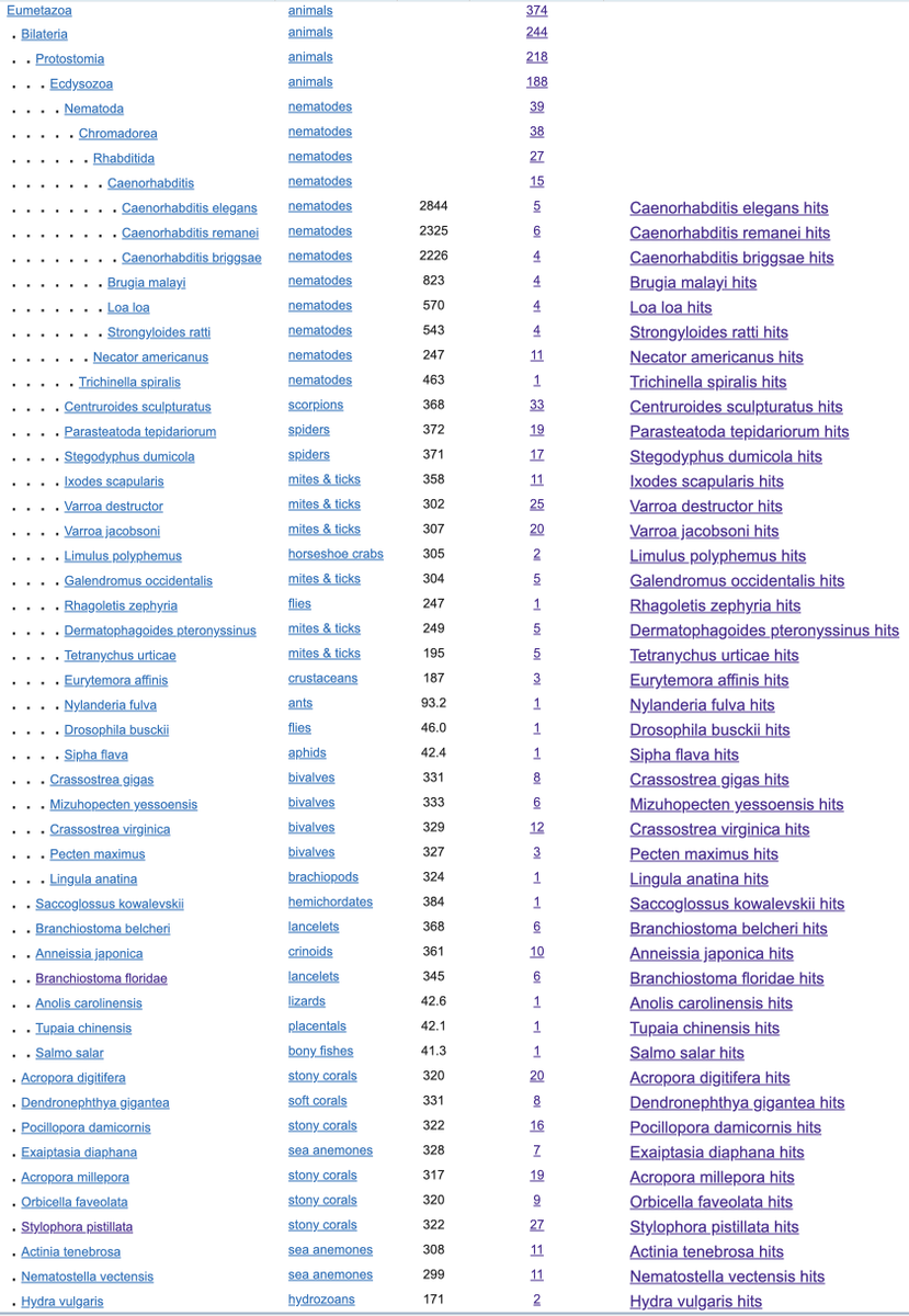 gary_ruvkun's tweet photo. @mbeisen Zoological endorsement of worms:   Blastp report for RNA dependent RNA polymerase query to any metazoan. 
 RdRp= second stage amplifier and engine of kickass RNAi.  Notice that this list of animals is a who's who of tough little critters.  Ask any adolescent about this list https://t.co/yYNaHLrcSZ