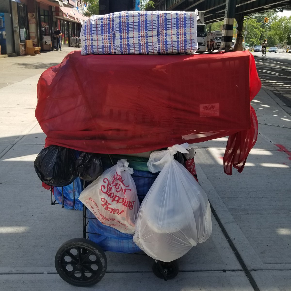 BronxARElectors's tweet photo. @NYPDPaws @NYPD49Pct  cat is in carrier all day in #heatwave.  1 resident a string is tightly wrapped around #cat's collar.  Tried to speak to woman but she is hostile and insulting.  Plse check on call. Just called 911 @2244 white plains road Food Choice Marjket https://t.co/QBPNIPDKy9