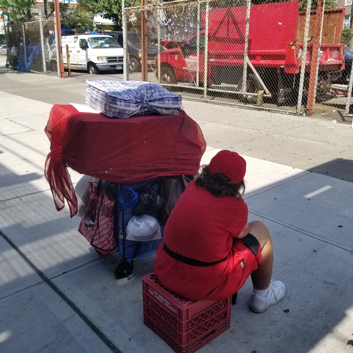 BronxARElectors's tweet photo. @NYPDPaws @NYPD49Pct  cat is in carrier all day in #heatwave.  1 resident a string is tightly wrapped around #cat's collar.  Tried to speak to woman but she is hostile and insulting.  Plse check on call. Just called 911 @2244 white plains road Food Choice Marjket https://t.co/QBPNIPDKy9
