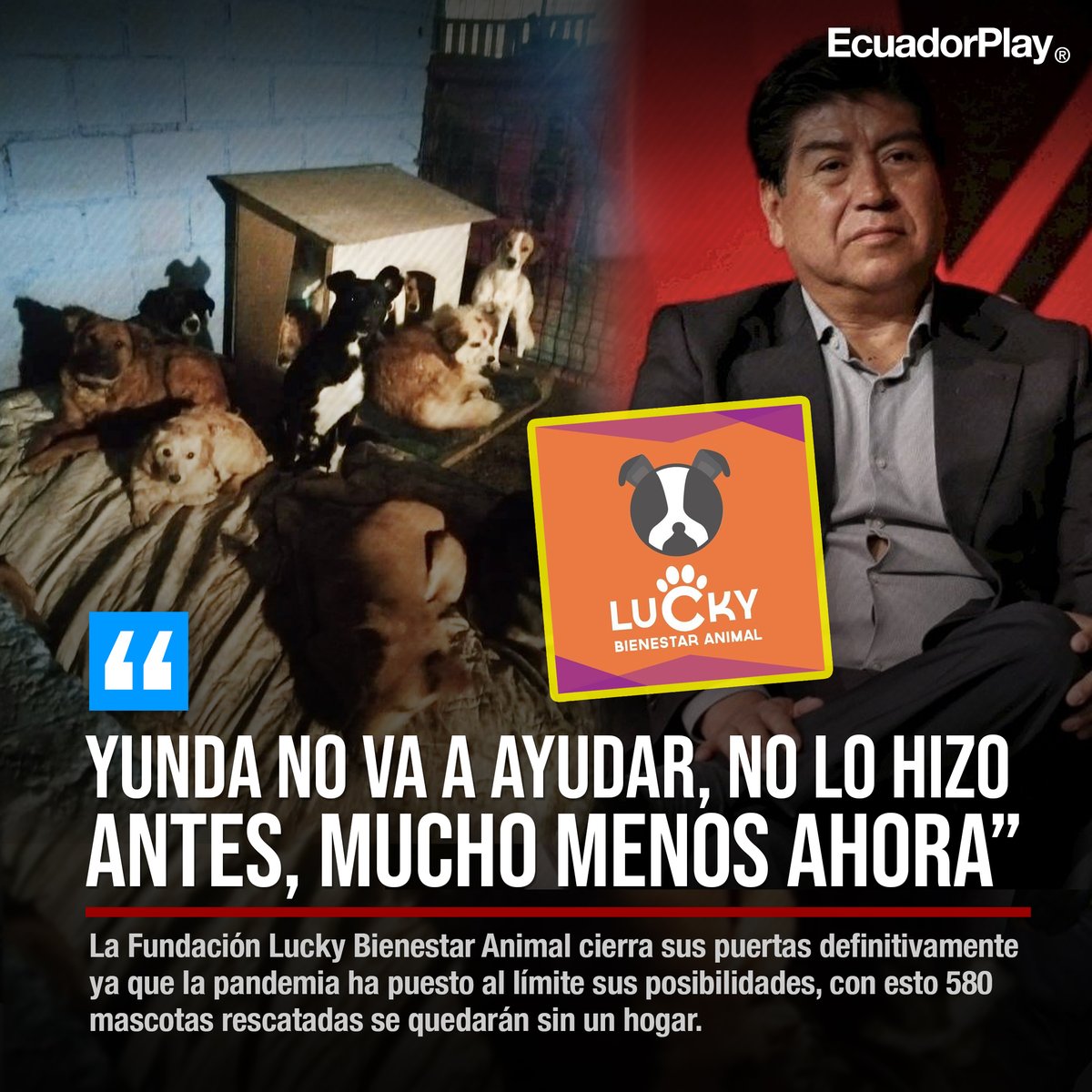 Ecuadorplay tweet media