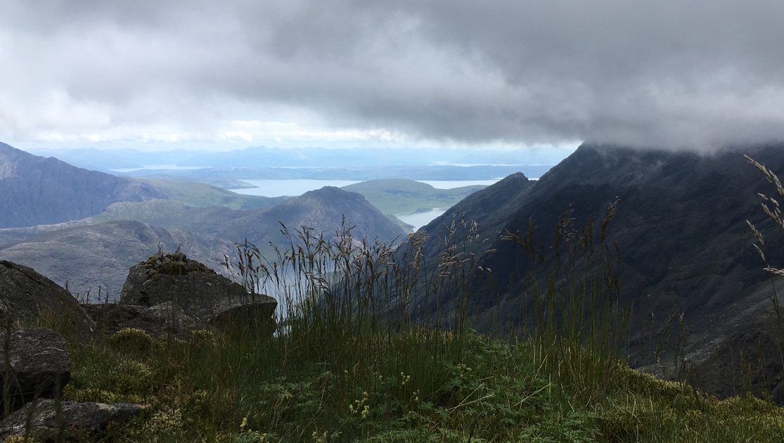 Skye Weavers tweet media