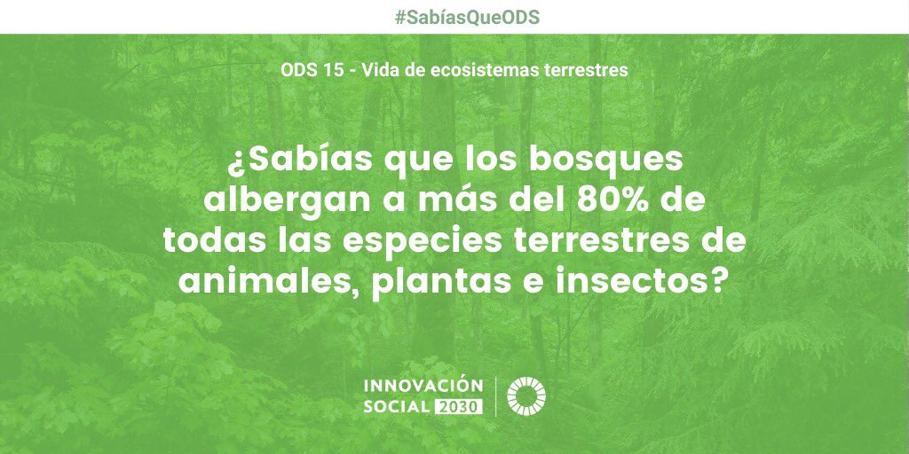 Innovación Social 2030 tweet media