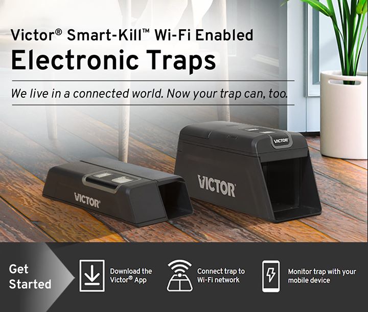 Victor® tweet media