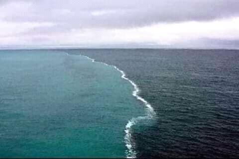 PigeonsCuba's tweet photo. #FelizTarde de #Lunes 

Este es el golfo de #Alaska donde dos océanos se encuentran pero no se unen. 
....En verdad esto es impresionante....!!!!!
#Naruraleza https://t.co/sSBVycsjxq