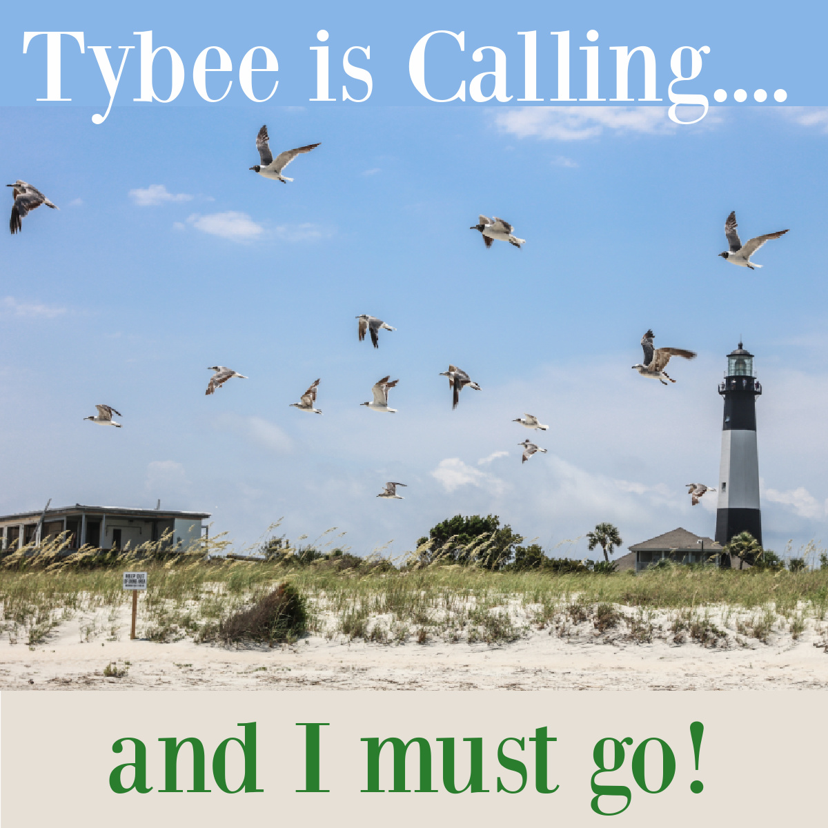 Sites still available for mid-late August and September!