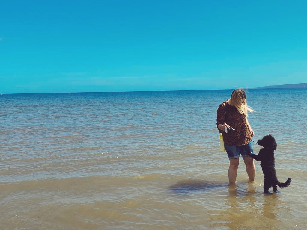 catsellars's tweet photo. Bruce moose officially loves the beach and we have 100% loved being back in the campervan #dubdog #vwlife https://t.co/EZlCBK7HQm