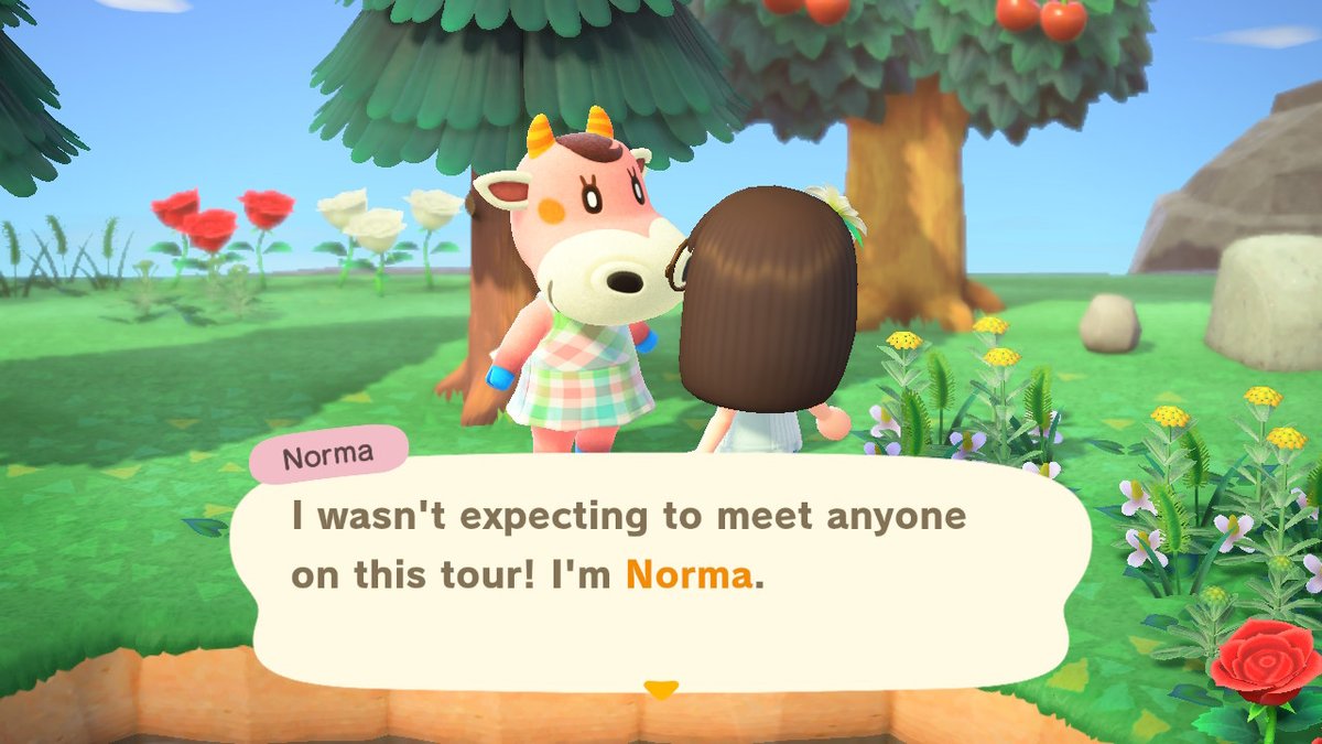 so the first villager I met was norma! I love her pastel style and rosy cheeks, but I already have two pink villagers on my island. maybe some day I should have an all-pink island! unfortunately, I'm gonna have to pass on norma. she seems like a sweetheart tho!