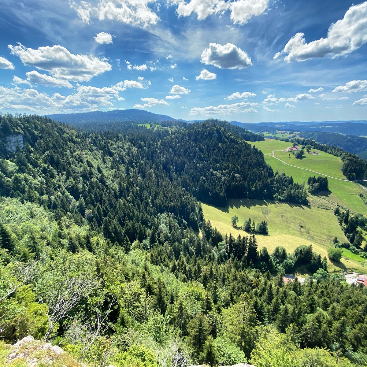 srebouh's tweet image. Que la montagne (franc-comtoise) est belle. #GTJ #GR5