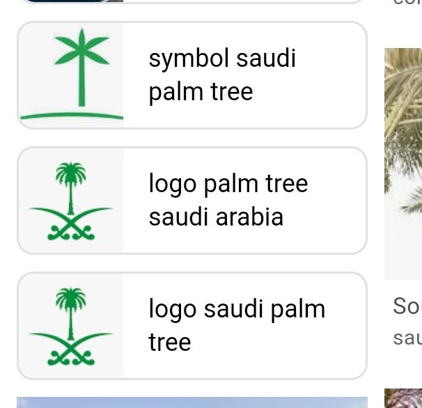 And I decided to make something cool this mornings as a gesture. Anyone can do it. It's an orange... I turned it into a palm tree like on the Saudi emblem. We never know what might be on the inside of something or someone (their heart)... We pray for guidance and happiness.