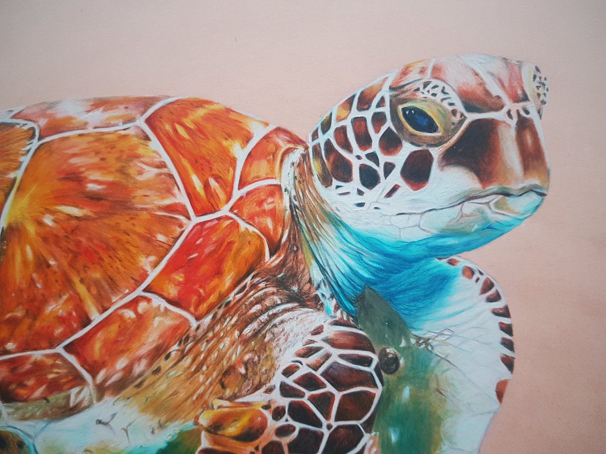 Bdcs_22's tweet photo. 15 horas para desenhar, 1 segundo para curtirem :)) https://t.co/HUcL9eTs6H