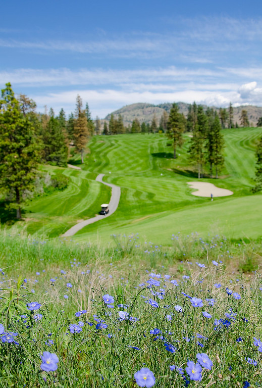 Hear that? That's the sound of your golf clubs wanting to play 18 holes at <a href="/FairviewMtnGolf/">Fairview Mountain</a>. Grab a bit to eat after in their clubhouse ,or sit outside on one of their patios and enjoy the view. 📷 Darren Robinson #oliverbc #visitsouthokanagan #golfing