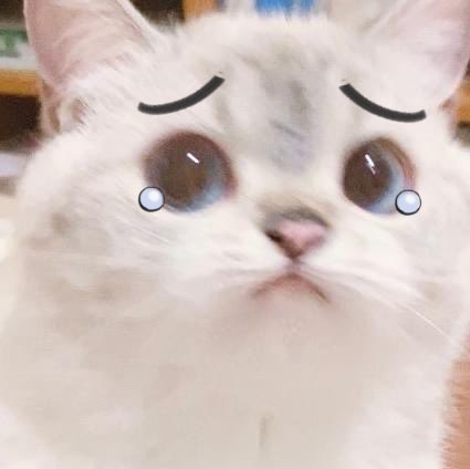sleepygeords's tweet photo. @piinklesbian thank you sooooooooooo much 🥺 https://t.co/OusHUAbWbY