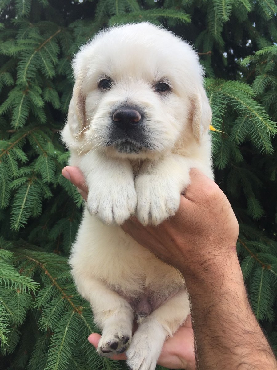 Tower Crash tweet media