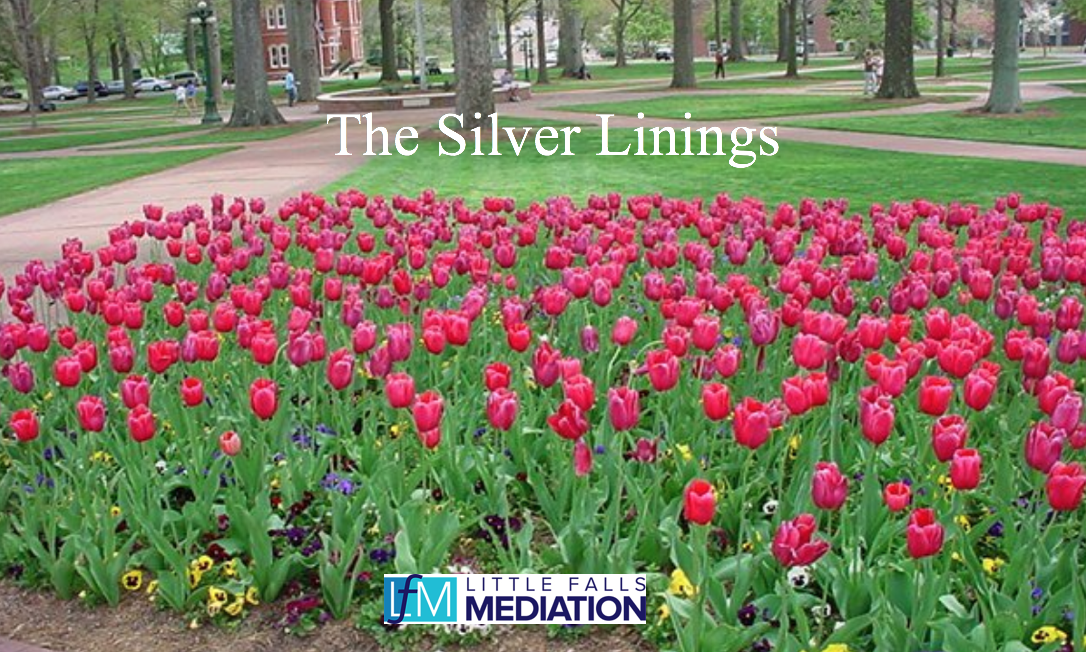 ellicehalpern's tweet photo. LFM's summer associate Katherine Barnes talks about the silver linings she is finding during the pandemic #MondayMotivation #Mediation #Negotiation #Onlinemediation #LittleFallsMediation #Silverlinings
https://t.co/AikTw4oB5L https://t.co/EXnlC3pEHd