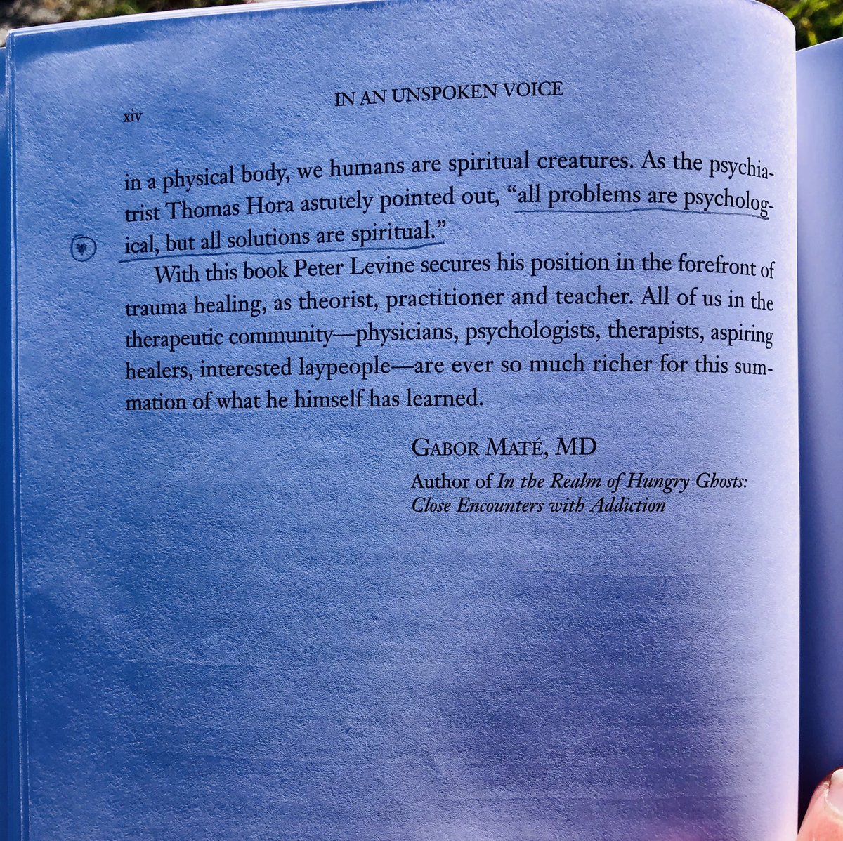 WelshieBerry's tweet photo. Epic view for my home made plant based alfresco dinner & revisiting this book.. literally hitting so many ‘aha’ moments already.. totally at peace 🧘🏽♀️🌊🙏🏼 #Levine #Gabore #evolving #growth #alwayslearning #spirituality #lushview #afterworkwanders https://t.co/yNanlrNymL