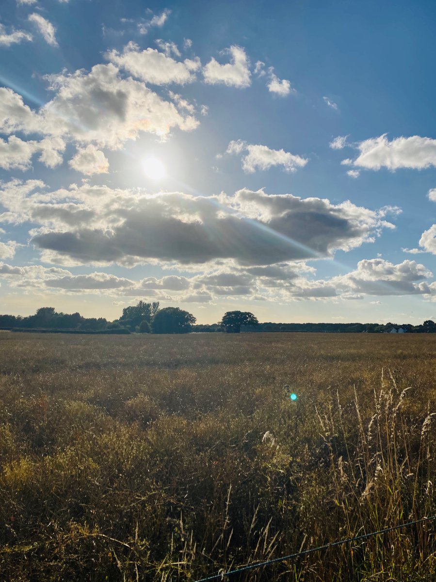 RichardNorton14's tweet photo. Gorgeous running across the fields this evening. Thank you to @RunKnutsford for finding a lovely route #feelingvirtuous #wontlast https://t.co/tntJrRpmj2