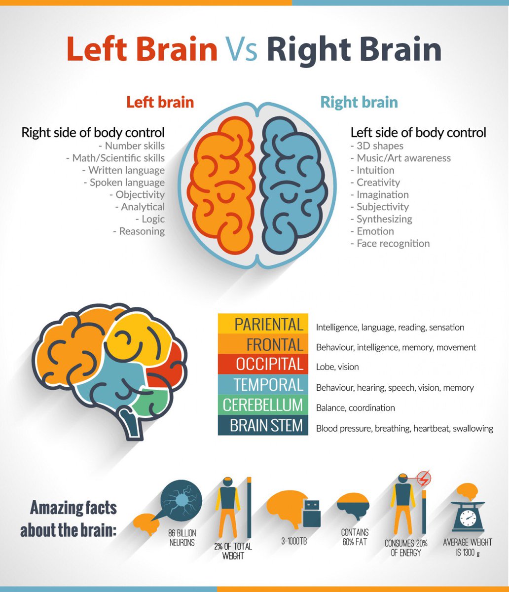 3/5Moon is associated with Mothers/ emotions/right aide of brainwhilePitru Paksha is associated with Fathers/ancestors/practical and strategic behaviour / left side of brain. On this day both right side & left side of our brain r equally heightened in their performance.