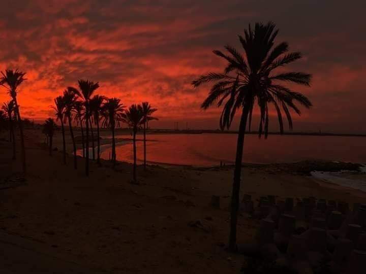 YasminaSelim3's tweet photo. حلـوه يـابـلـدي ⁦⁦❤️⁩
سيناء 🥺⁦❤️⁩ https://t.co/xq32IDUYrI
