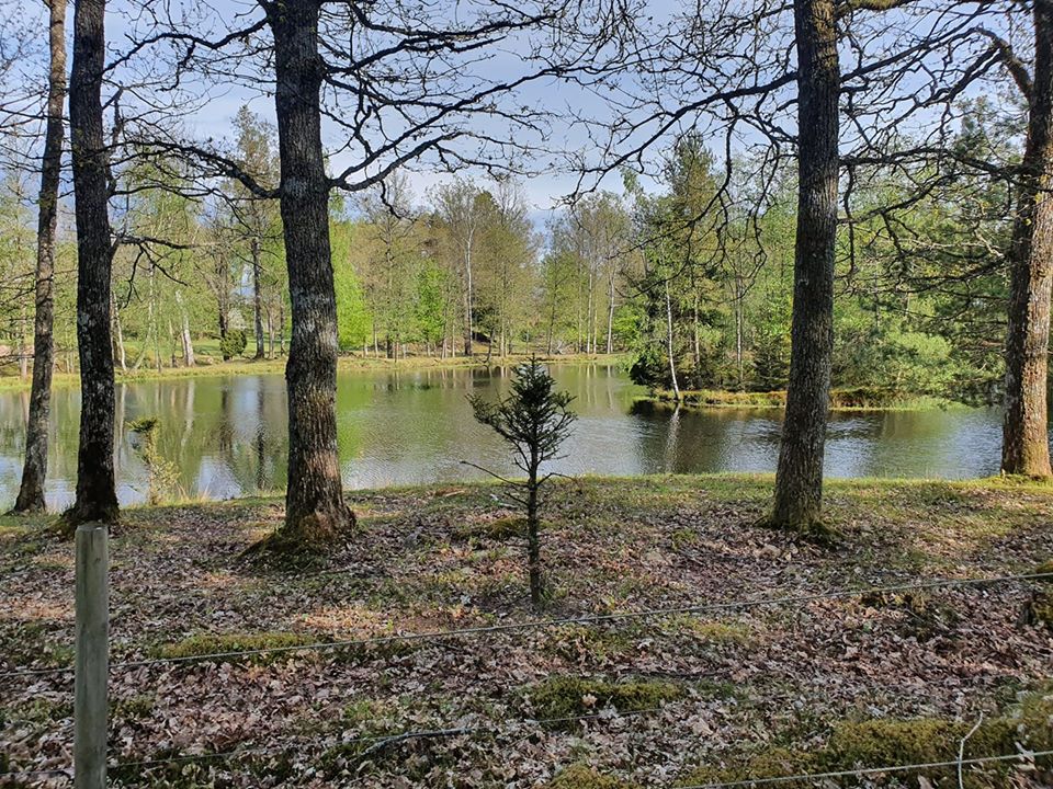 AmericanSweden's tweet photo. Lovely summer photos shared by an American located in northern Skåne. Thank you for sharing :)

We love to share photos of Sweden! Send us your photos and where you are located and we will share them. https://t.co/fLKyDLBygS