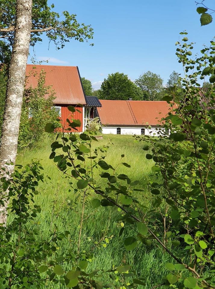 AmericanSweden's tweet photo. Lovely summer photos shared by an American located in northern Skåne. Thank you for sharing :)

We love to share photos of Sweden! Send us your photos and where you are located and we will share them. https://t.co/fLKyDLBygS