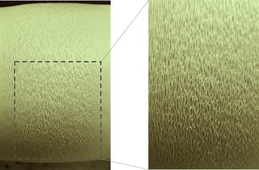 mtu_engineering's tweet photo. Cancer #metastasis and #wound healing. Opposite sides of the same coin? Find out tonight at 6pm EST from Dr. Smitha Rao @michigantech. Her tenacious research team develops biomedical #microdevices from electrospun fibers. #Engineering #nano https://t.co/ejvlRC0yNN #mtubound #STEM https://t.co/Vsep1Y96uW