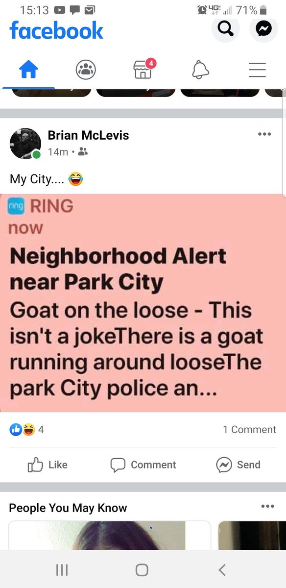 FillyCheeseStak's tweet photo. Where the fuck is our goat 😂😂😂 https://t.co/3Npcdpizmv