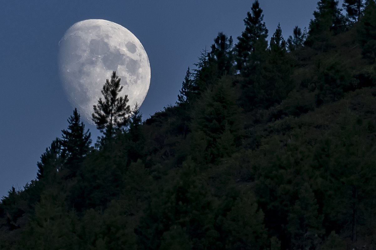 forestservice's tweet photo. Today #NationalMoonDay! This day is commemorates the day man first walked on the moon. Looking for a great place to view the moon? Much of the Gila National Forest lies within the darkest category on the Clear Sky Chart light pollution map. https://t.co/2KJ5JqaoKr @GilaNForest https://t.co/mINf4HrWwX
