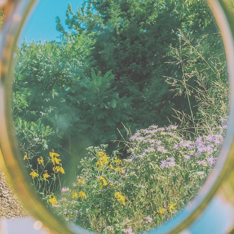 Pathway_Therapy's tweet photo. T o d a y • It’s okay to begin your story today. 

Those mistakes you’ve made along the way are lessons. 

Find a way that resonates with you. There is no expiration date to reinvent yourself 👏🏼 #selflove #journey https://t.co/TpB5panO6P
