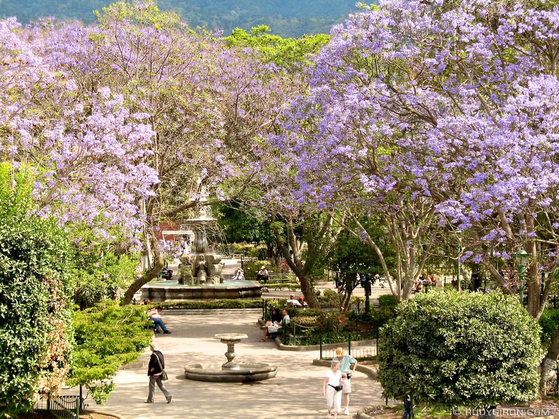 Gua1490's tweet photo. Parque central de La Antigua Guatemala.
 
 Foto: Rudy Giron Photography
 
#Guatemala #Gua1490 #LocalGuides #arquitectura #antiguo #colonial #barroco #bohemio #relax https://t.co/S6VSabmTts