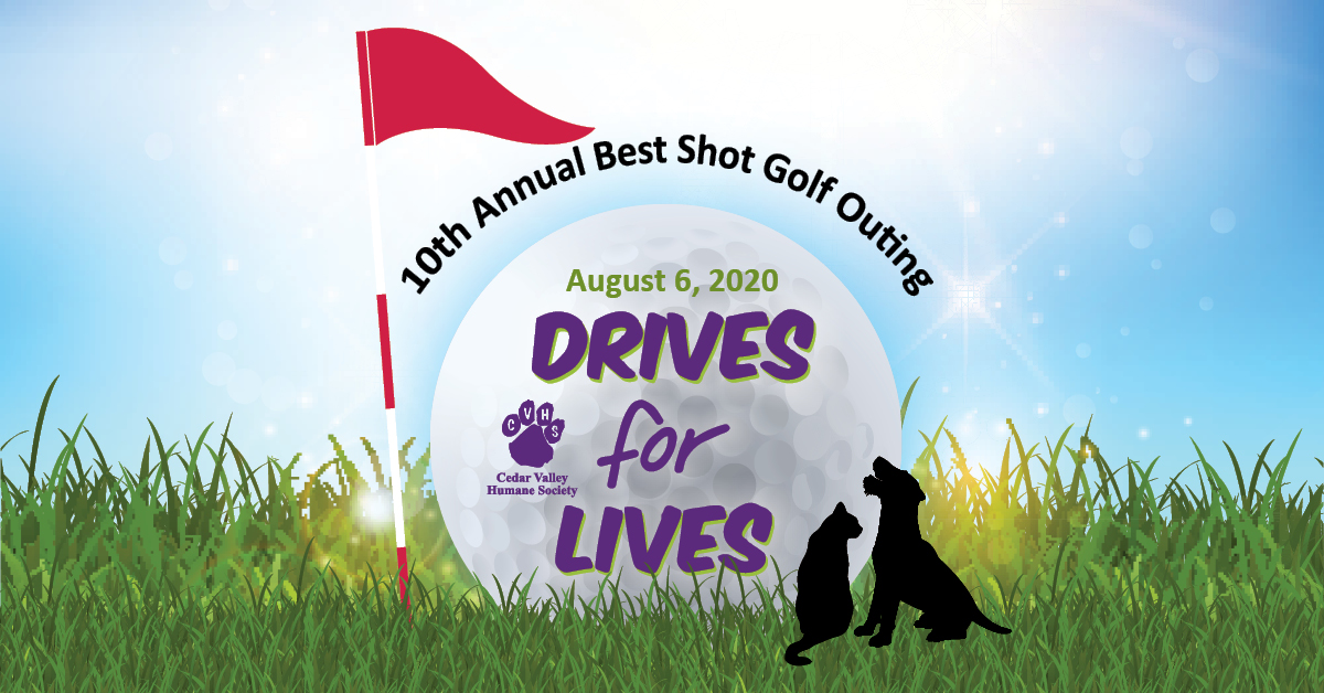 CVHumane's tweet photo. Drives for Lives is a great way to get out of the office for an afternoon of golf while also supporting CVHS! Can’t attend but want to help the animals? Sponsor a hole on the course, or show off your favorite animal as a Pet Sponsor!
https://t.co/dus3vVALl2 https://t.co/rtoCktQFY7