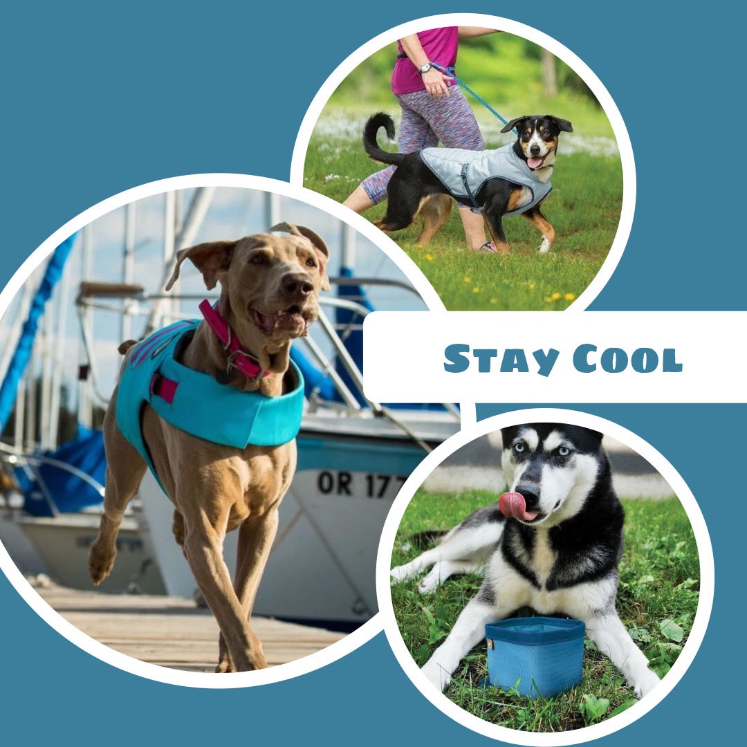 aplaceforfido's tweet photo. Cool gear to stay cool!  Cooling vests, life jackets for swim time, and an assortment of collapsible bowls will keep your pup cool on these hot days. https://t.co/oTyzFdp5dD
