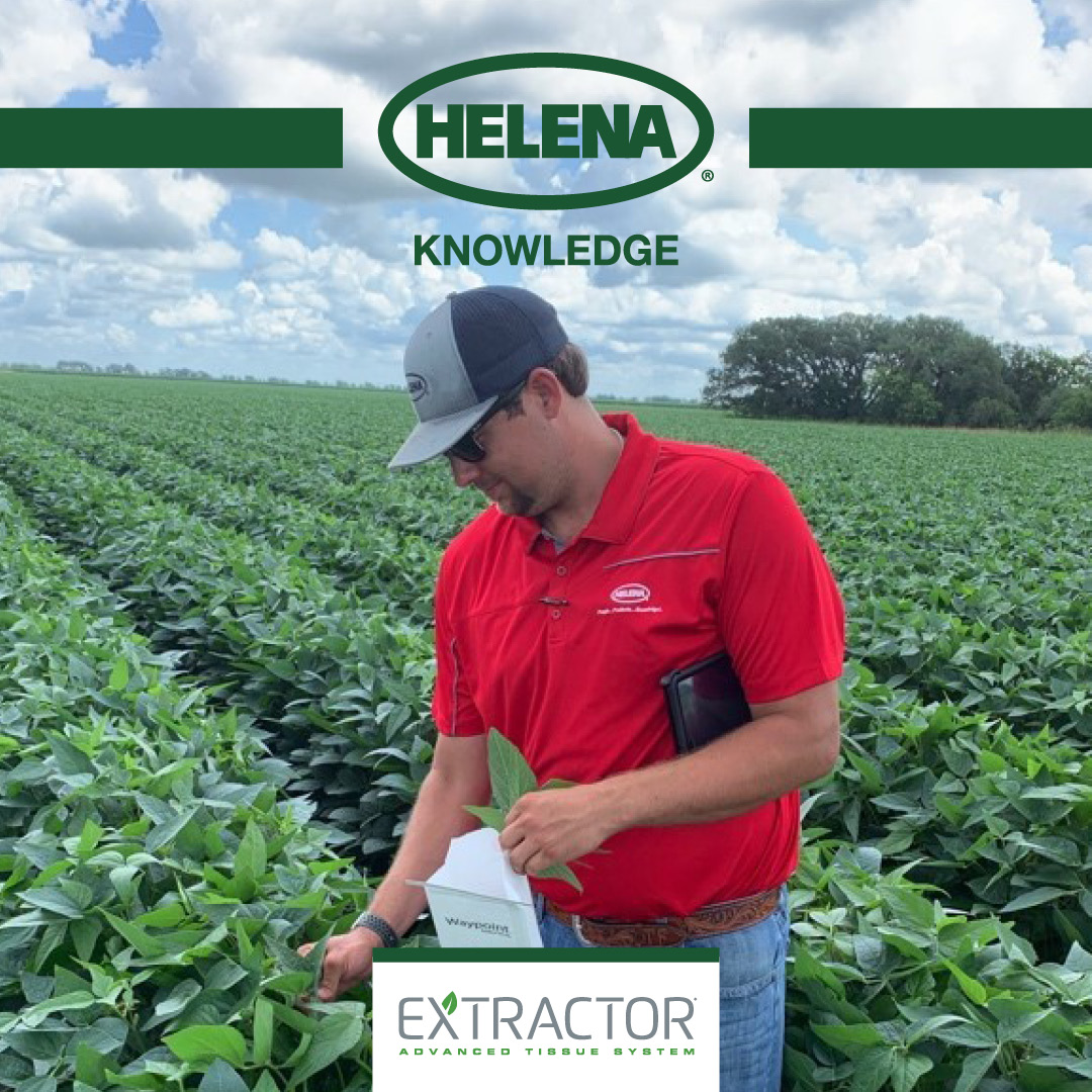 Helena Agri-Enterprises tweet media