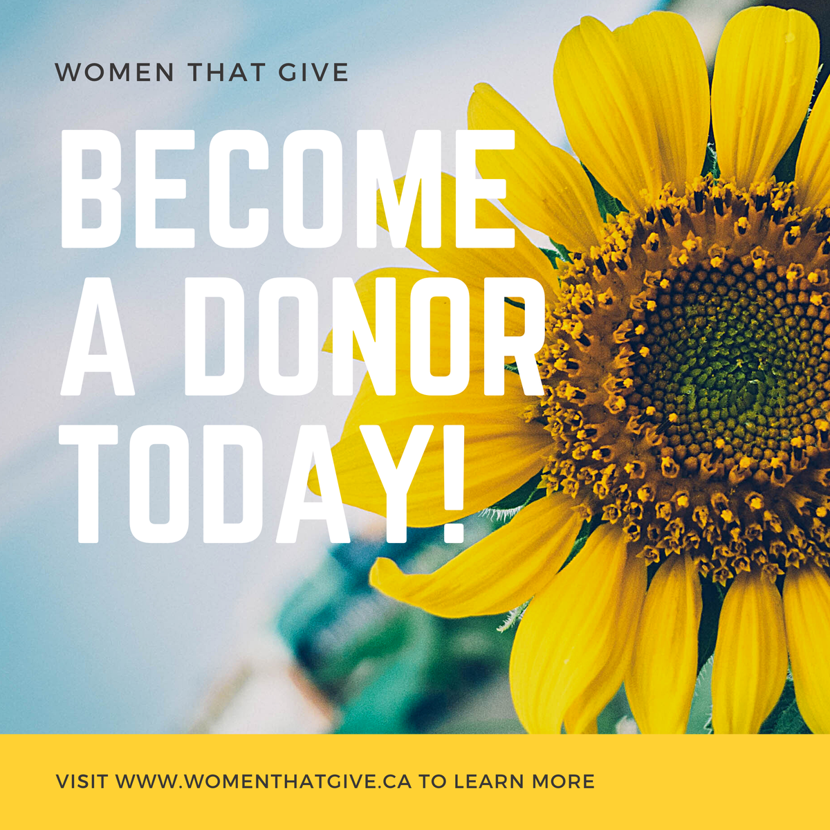WomenThatGive1's tweet photo. For the duration of COVID-19, we are asking those who are able, to make a monetary or in-kind donation that will go toward an individual or family that is desperately in need 💛 Please visit https://t.co/v1E23buNES to learn how to support our efforts. https://t.co/hkyiaXFwOf