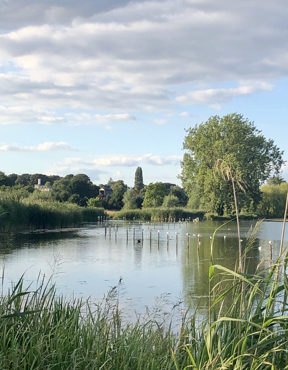 KetteringPhotos's tweet photo. Members of Kettering Camera Club had a great evening at the beautiful #WicksteedPark tonight - lovely light and great surroundings. Good to be getting out with the cameras again! (iPhone BTS shots, “proper” shots to follow soon!) https://t.co/bBwpfChcun