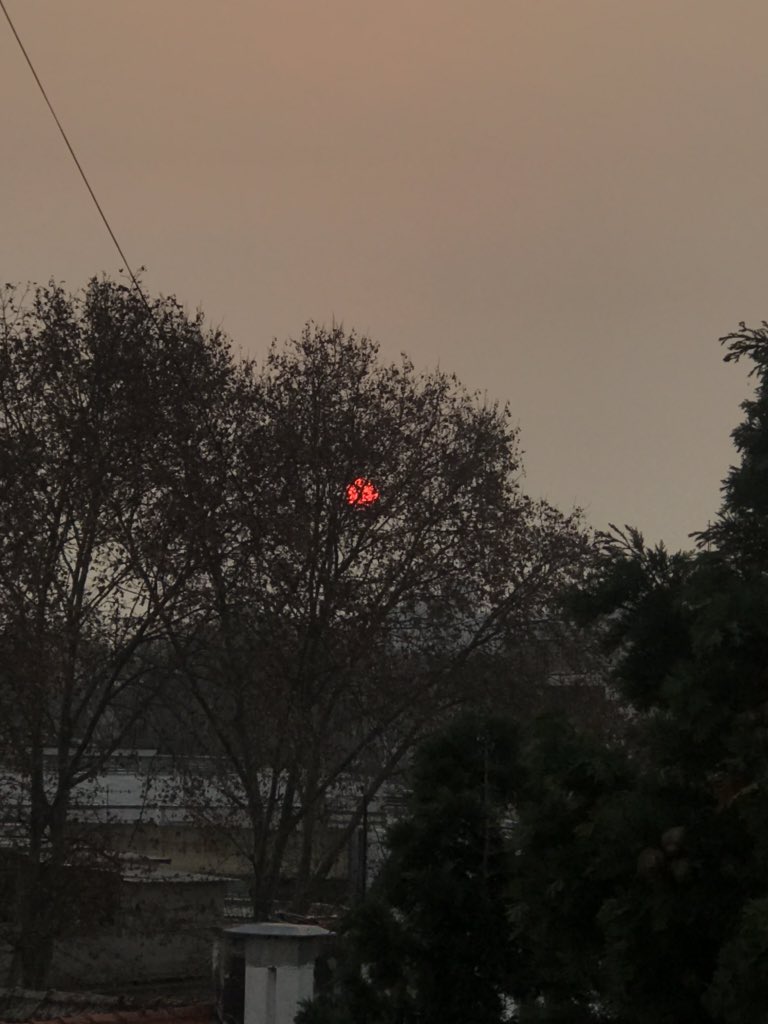 Camiholert's tweet photo. Miren el sol ya ya ya. Está naranjita https://t.co/T9YQqJaSnh