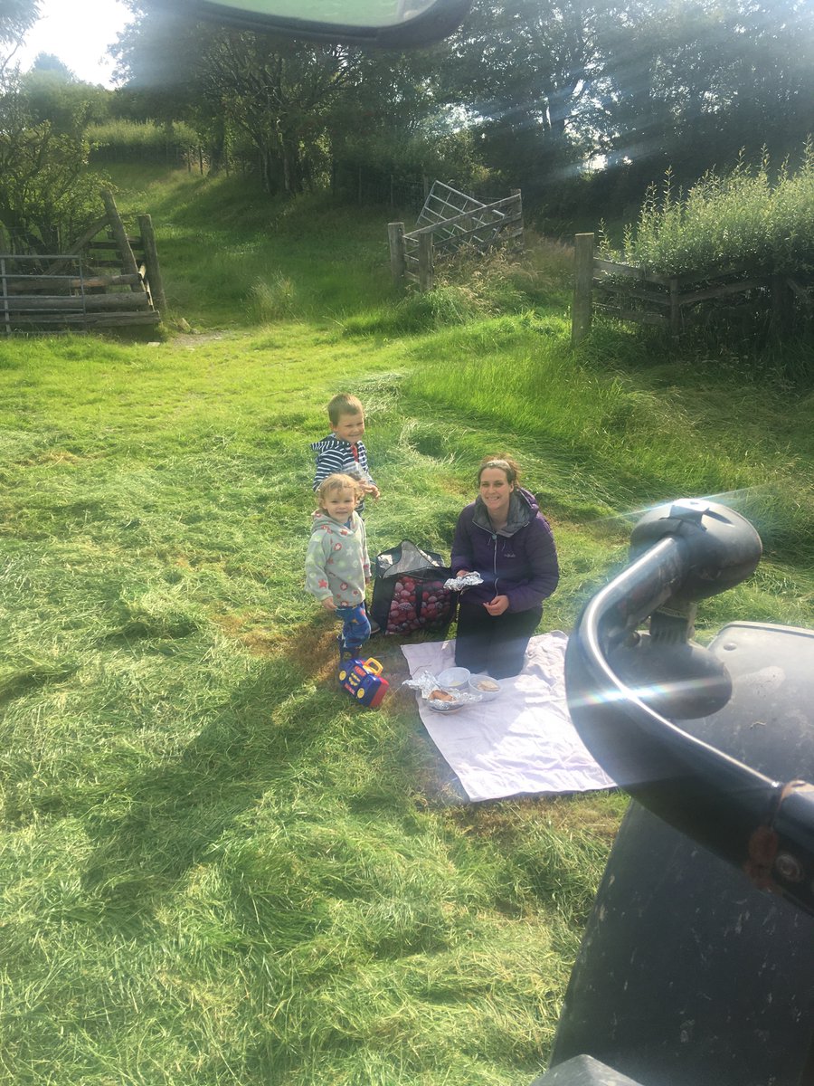 Swper n cau, 2nd cut, picnic#teulu☀️👍