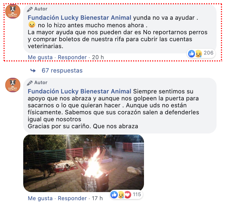 Ecuadorplay tweet media