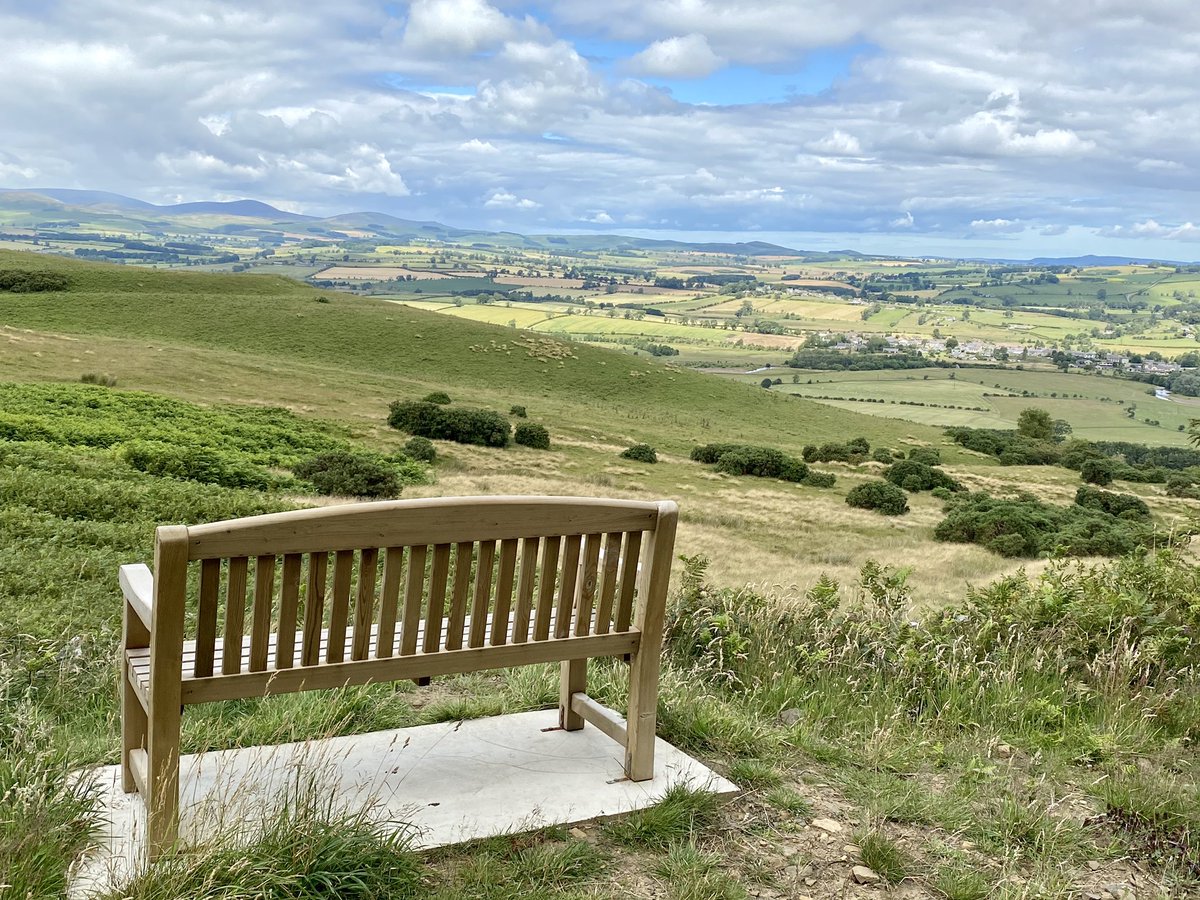LilFazz's tweet photo. Perfect day for a picnic at Papa Fazz’s bench ❤️💕 https://t.co/LeQKEjjgsz