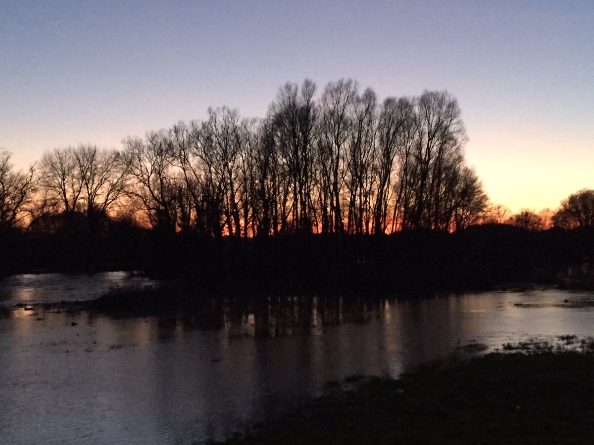 Dear <a href="/TheMontyDon/">Monty Don</a> <a href="/GWandShows/">BBC Gardeners World</a> <a href="/BBCTwo/">BBC Two</a> please please will you continue #GardenersWorld throughout the winter into spring. It’s so uplifting and I reckon we’ll all need this even more through the next few months. Please RT if you agree🤞#GardensHour @frostatwork <a href="/RacheldeThame/">Rachel de Thame</a>