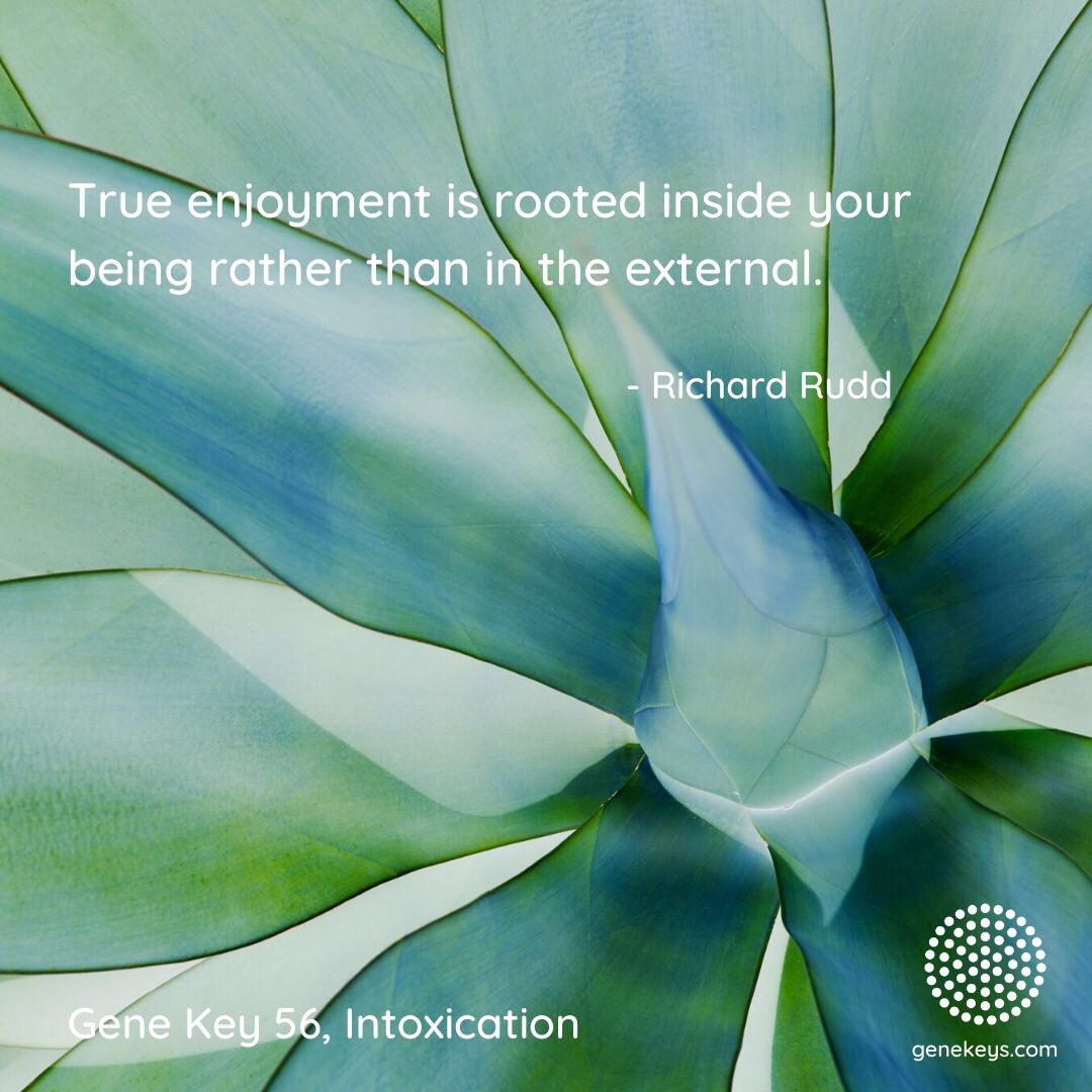 gene_keys's tweet photo. The Pulse – 19 July to 23 July – The 56th Gene Key moves from the Shadow of Distraction to the Siddhi of Intoxication and it's the Way of Enrichment.
 
#genekeys #distraction #intoxication #enrichment #64Ways #genekey56
For more about Gene Keys visit https://t.co/Dviu0apuuY https://t.co/oWaGDoW15V