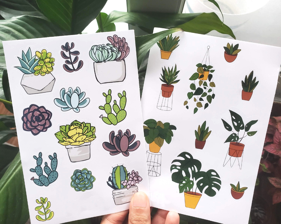succulentsbot's tweet photo. Source: /u/spursx11 [https://t.co/eYooPxkaCE] https://t.co/YWKyDt2vdh