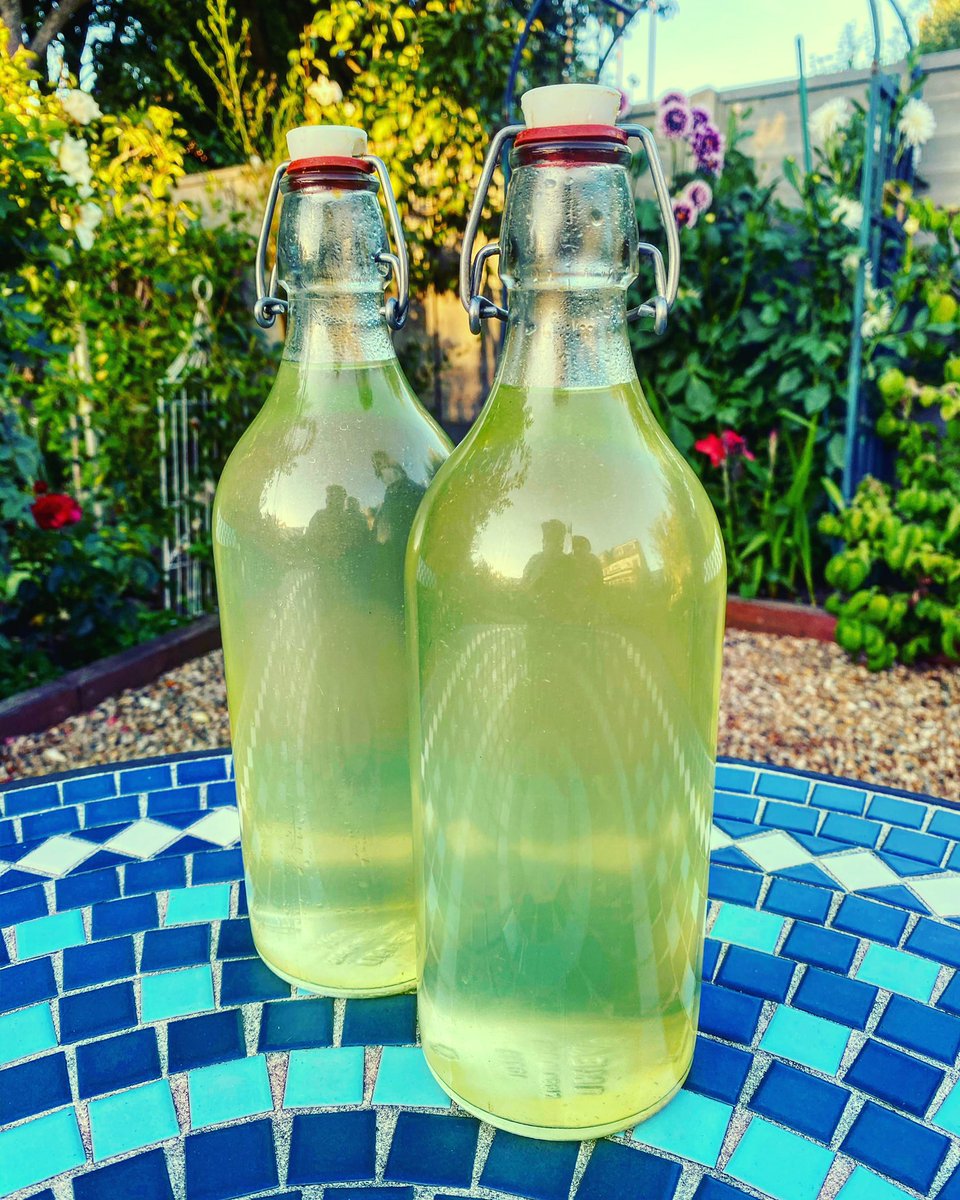 Limoncello Ready 🍋🍸