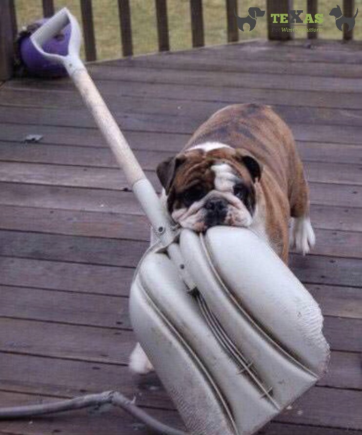 Let the pros pick up your 🐕 💩, ☀️ or 🌧 .

Contact/ Follow Us:
Phone: (281) 760-3191
Website:texaspetwastesolutions.com
.
.
#pethealth #dogboarding #dogfood #petlover #doglife #doggy #dogdaycare #vet #catlover #petstore #dogwalking #FridayVibes #texaspetwastesolutions