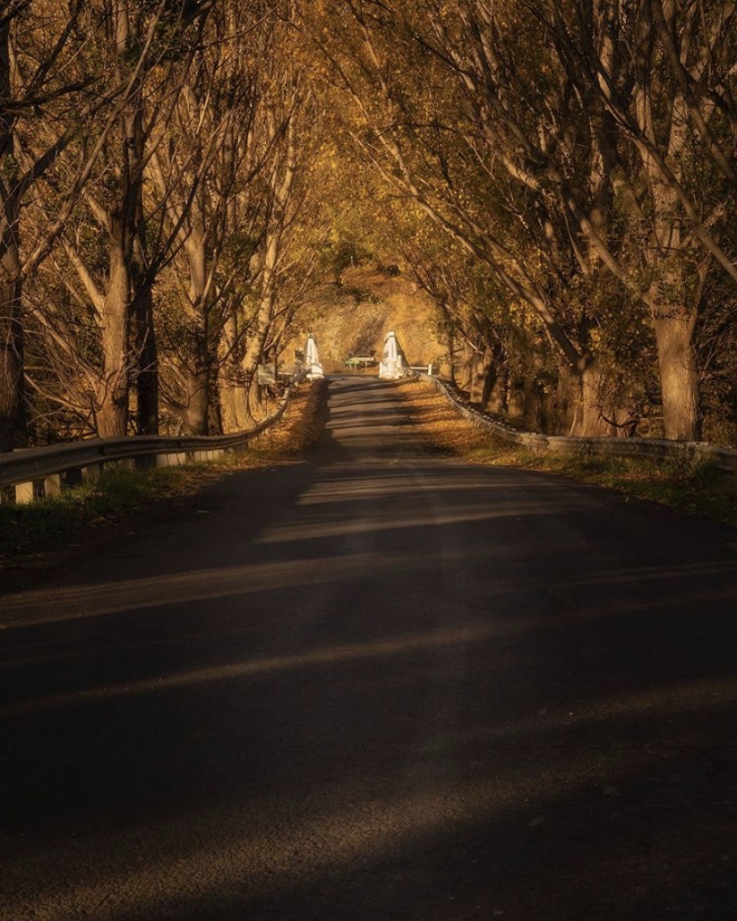sofranksocial's tweet photo. The Goodradigbie River Bridge was basking in the sun when @andyallanphoto captured this. What a glorious light!
#sofranksocial #visityassvalley #wearecbr #cbrregion #weejasper #holidayherecbr #visitcanberra https://t.co/qbSYXzxXiE