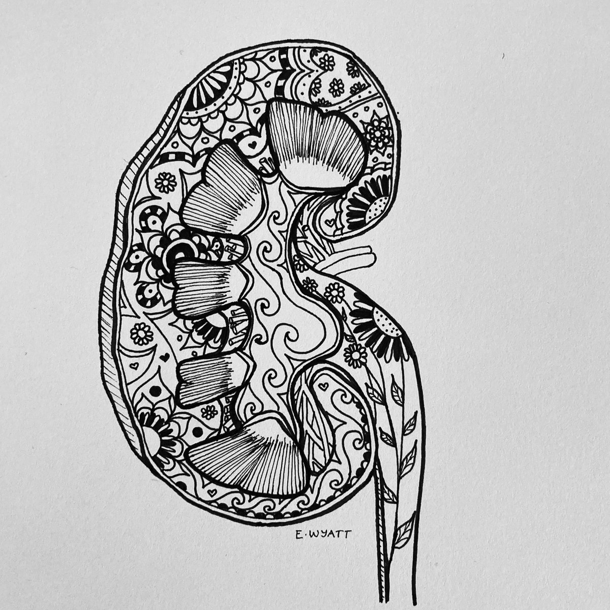 eli_wyatt's tweet photo. More mindful colouring as a break from reality for you all...enjoy! #drdoodle #anatomicaldoodles #colourmein #kidney #breast #latestrequests @RilesinWales @EllenParker6 @nkf @KidneyWales @BCCareCymru @BreastCancerNow @CR_UK https://t.co/9SvqQmpysx